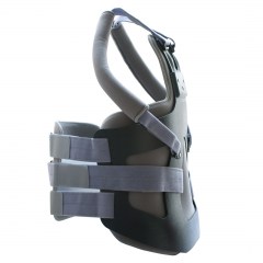 ΚΗΔΕΜΟΝΑΣ TAYLOR